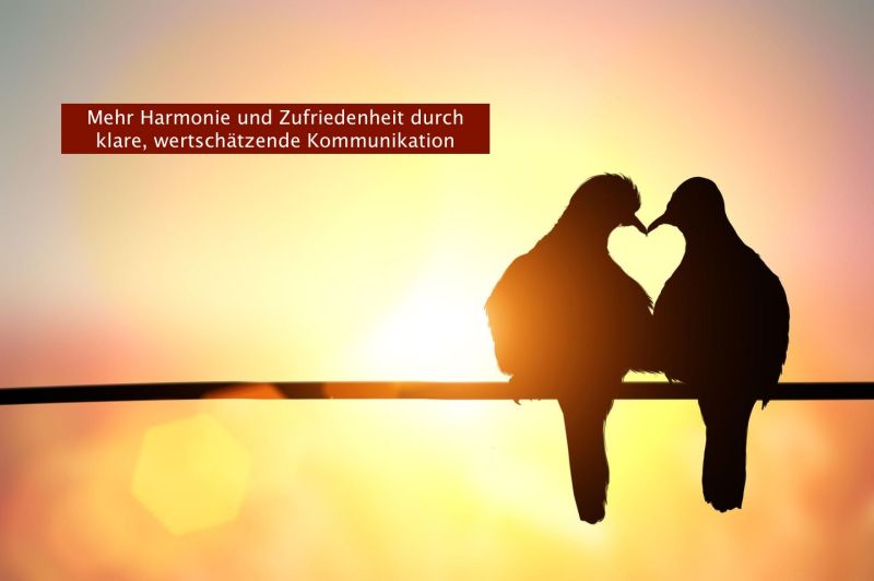 Bildvorschau